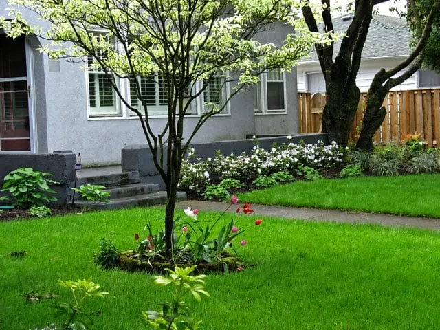 Affordable landscape design in Portland, OR by Precision Landscape Services Inc