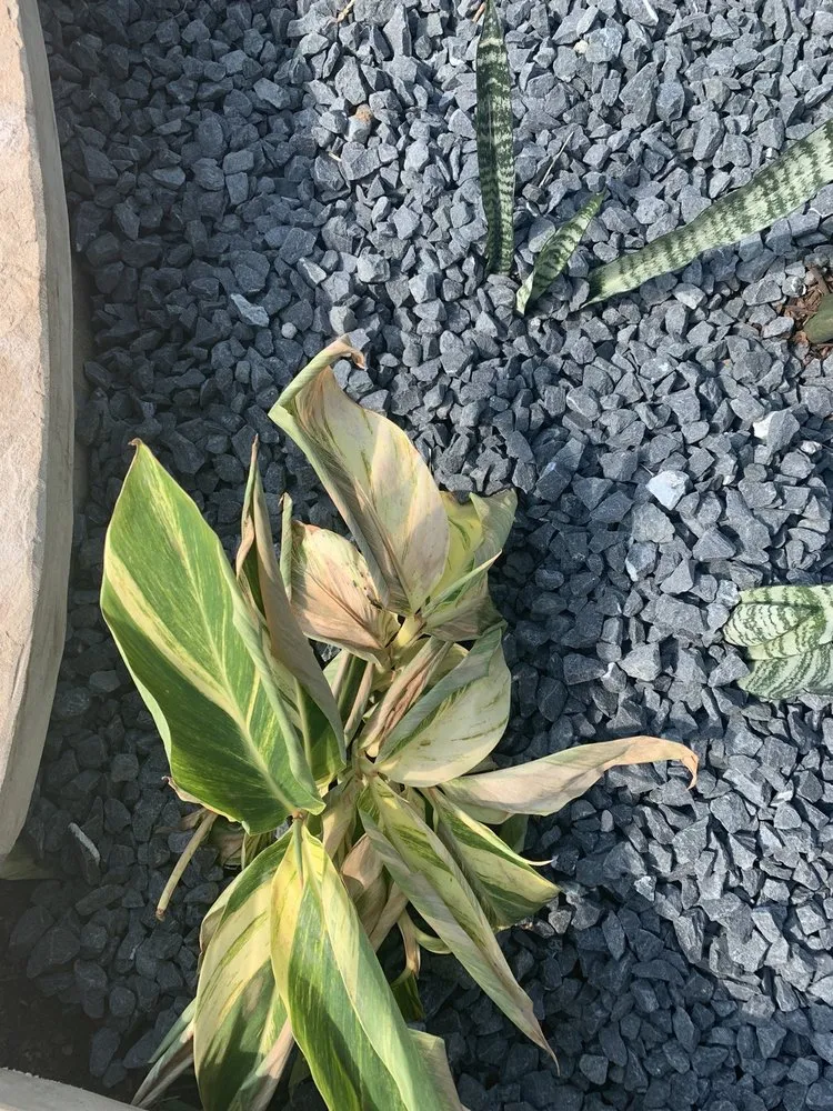 Professional garden landscaping for year-round maintenance across Portland, OR - Precision Landscape Services Inc