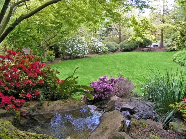 Professional yard maintenance for outdoor upgrades in Portland, OR by Precision Landscape Services Inc