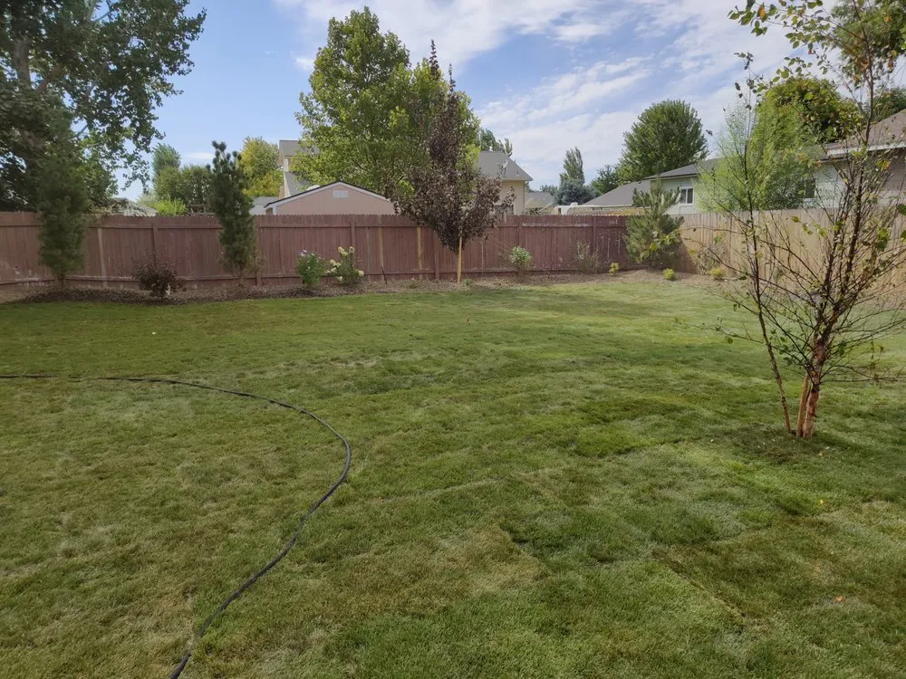 Local yard maintenance in Caldwell, ID by Precision Landscape Solutions