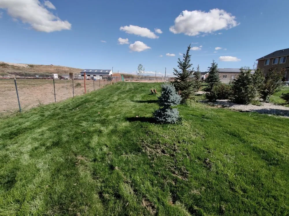 Affordable landscape installation for beautiful yards across Caldwell, ID - Precision Landscape Solutions
