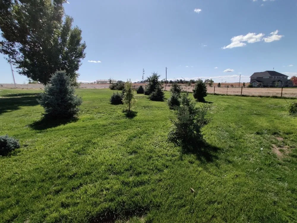 Expert landscape installation for residential properties in Caldwell, ID by Precision Landscape Solutions