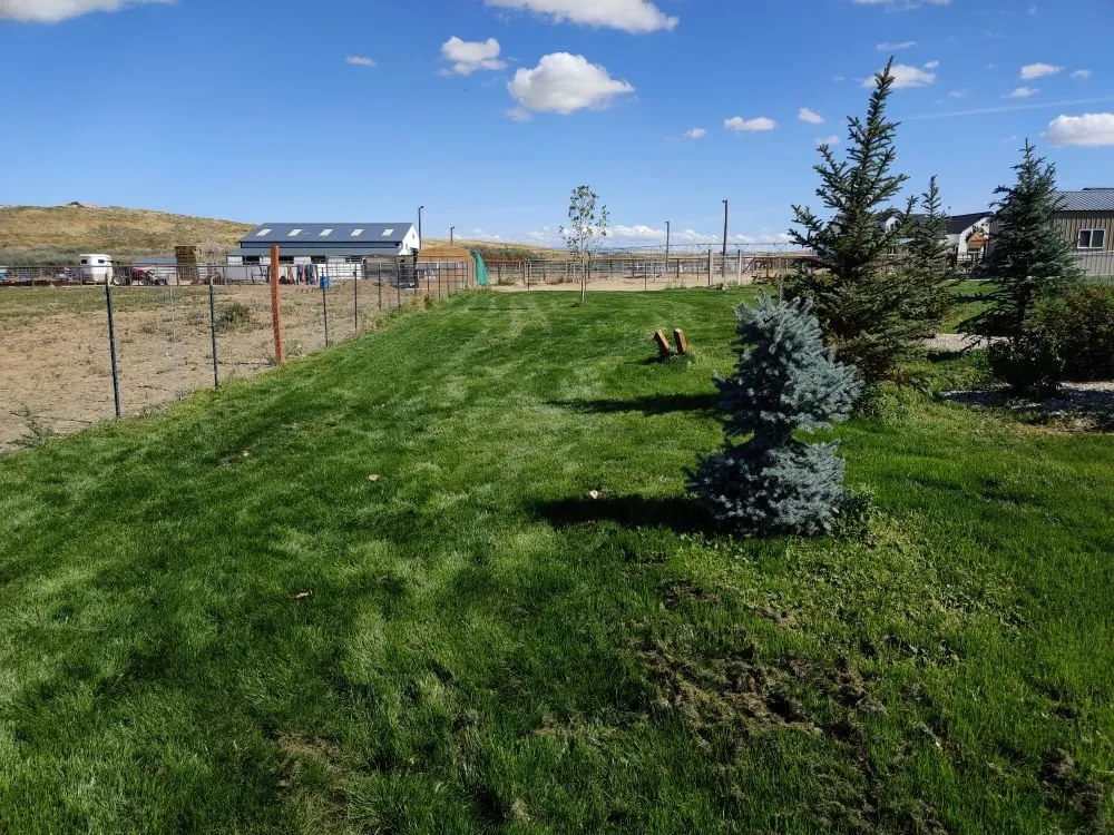 Professional outdoor landscaping for beautiful yards in Caldwell, ID by Precision Landscape Solutions