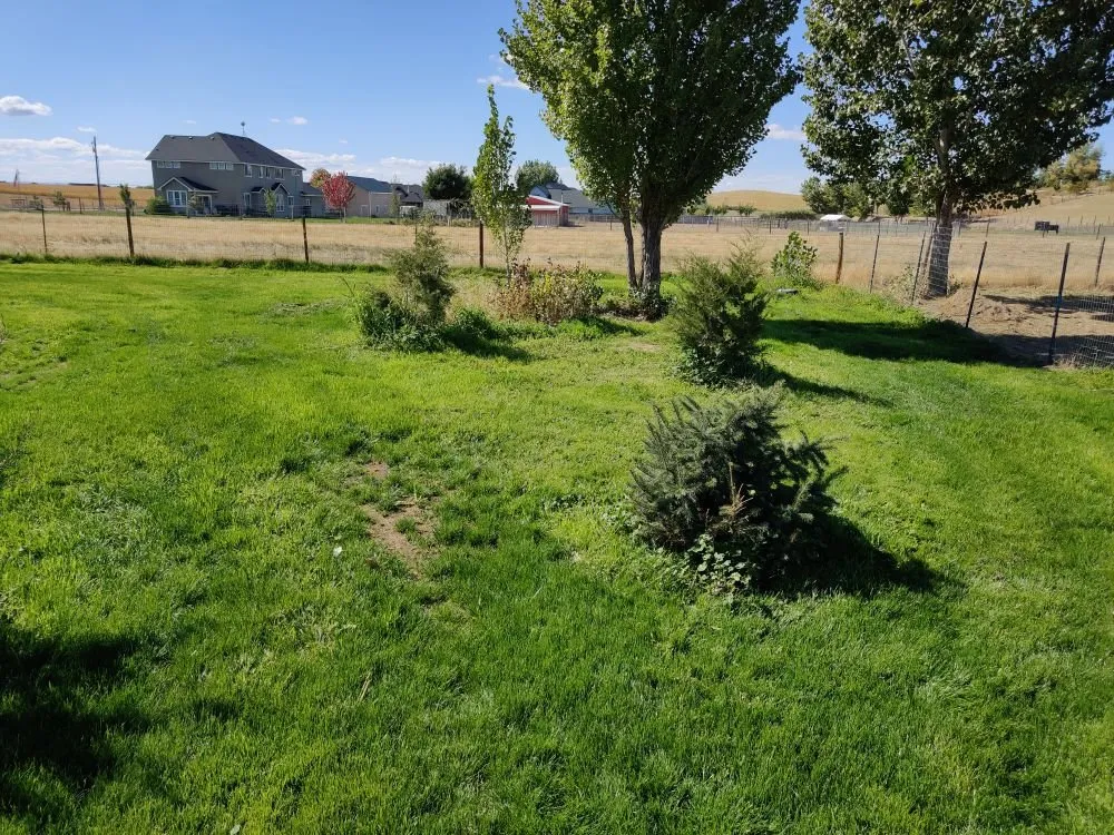 Professional garden landscaping for outdoor upgrades in Caldwell, ID by Precision Landscape Solutions