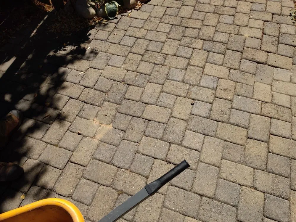 Custom yard cleanup service experts serving Caldwell, ID - Precision Landscape Solutions