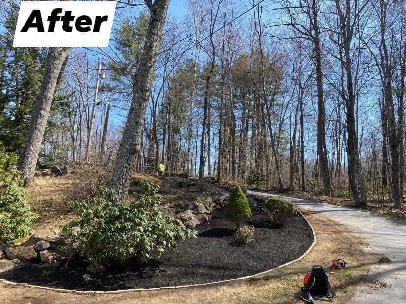 Top-rated lawn care service in Dresden, ME by Precision Landscape Solutions