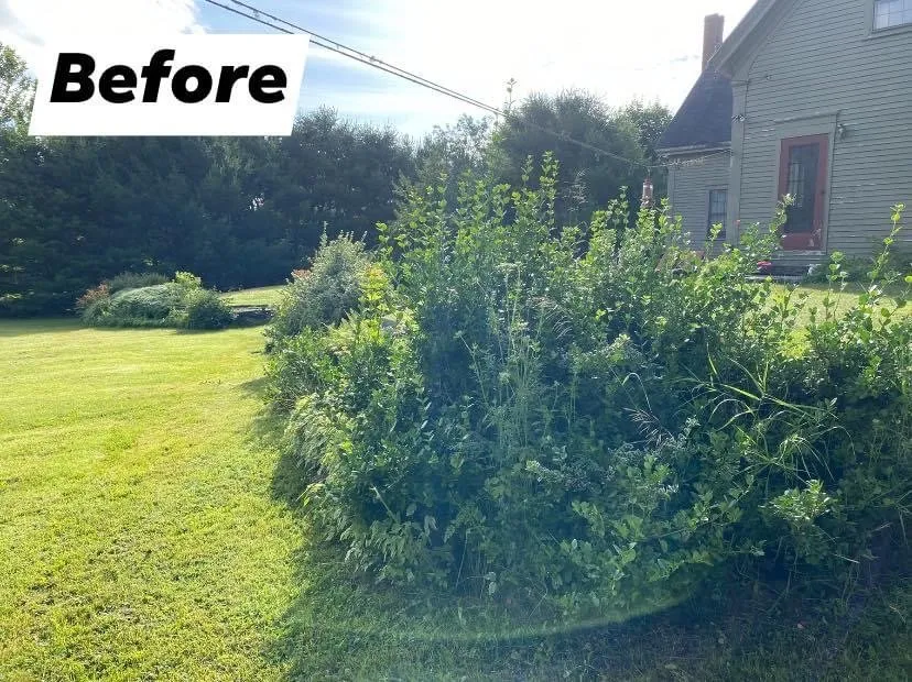 Trusted residential landscaping for year-round maintenance in Dresden, ME by Precision Landscape Solutions