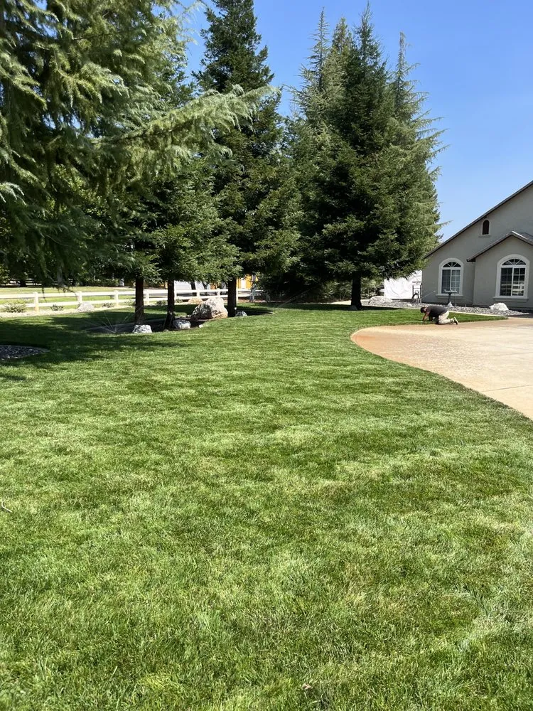 Local landscaping services for outdoor upgrades in Redding, CA by Precision Landscapes