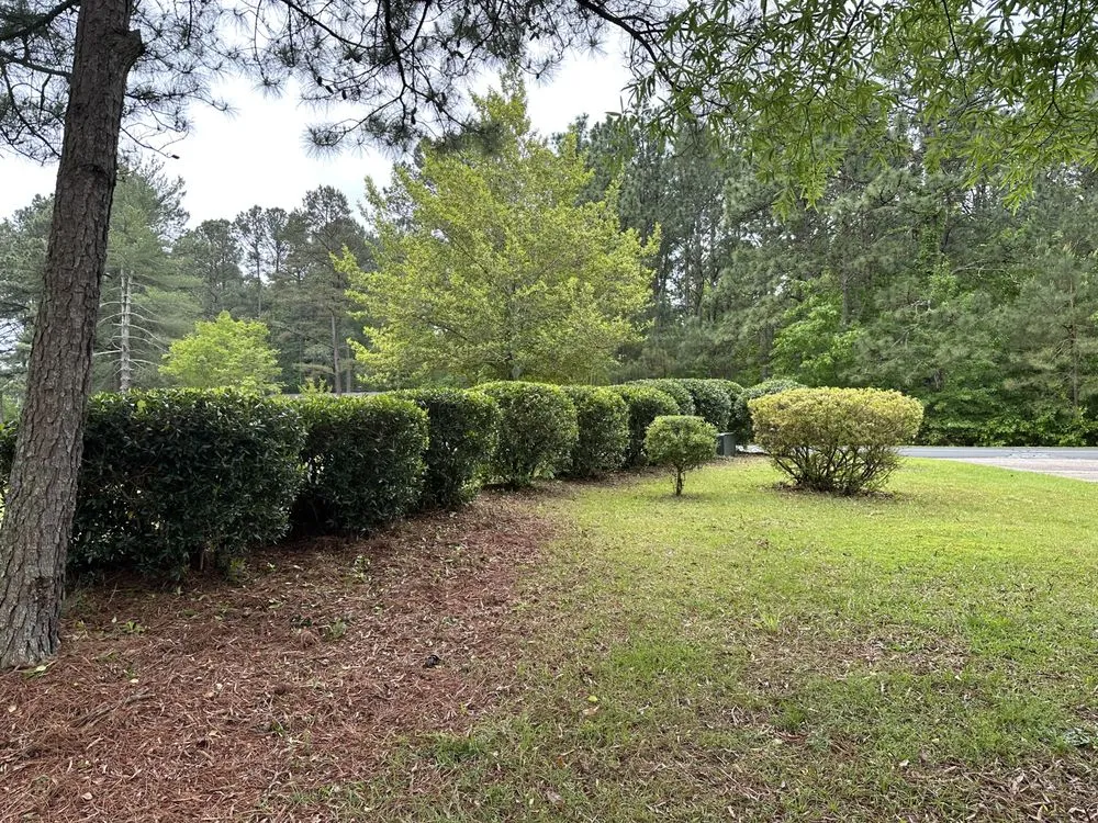 Expert lawn care service in Sanford, NC by Precision Landscapes