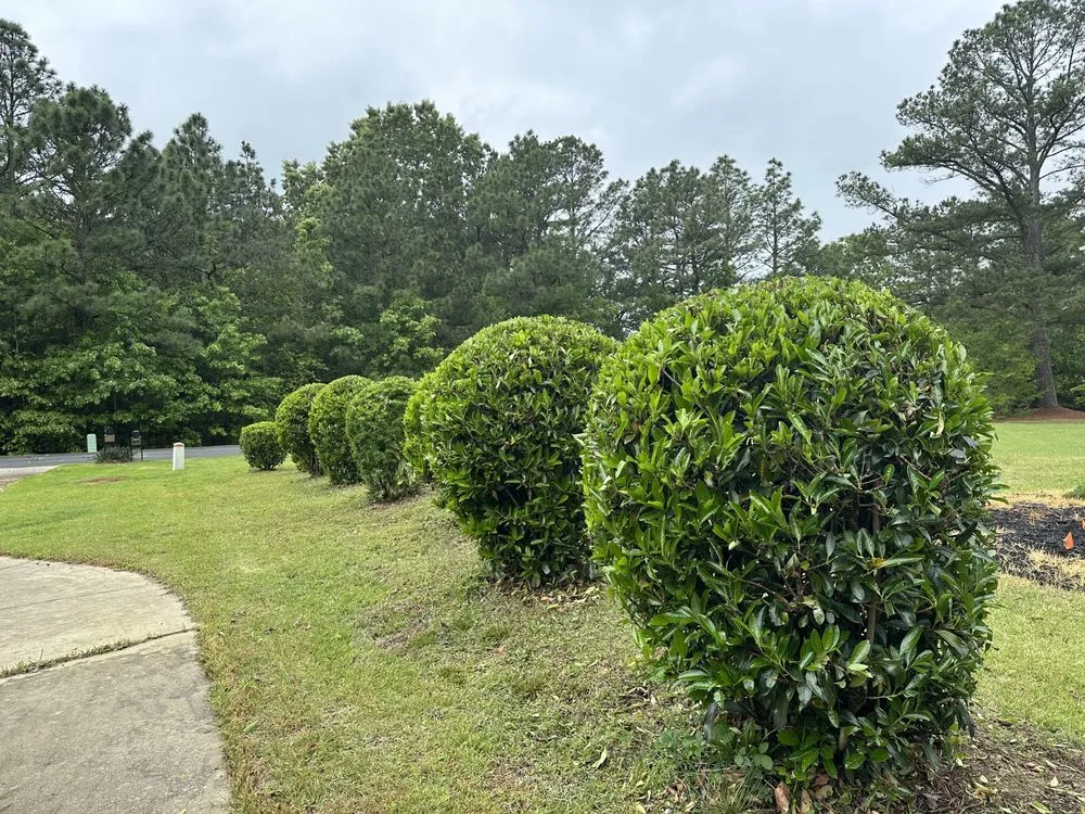 Top-rated outdoor landscaping in Sanford, NC - Precision Landscapes