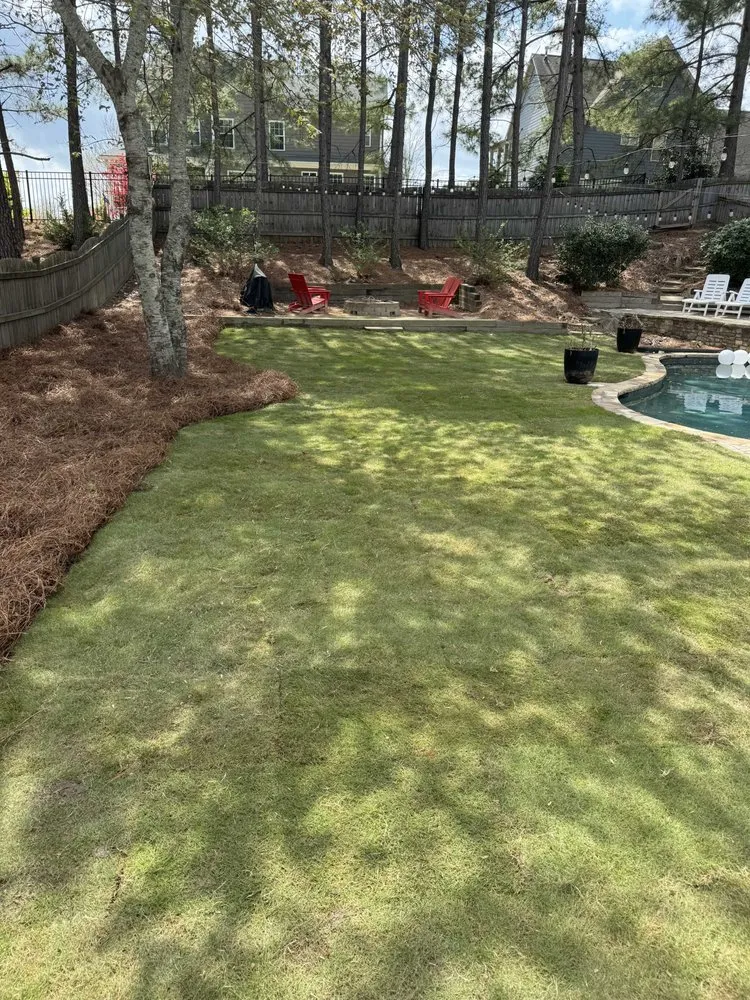 Trusted lawn care service in Gainesville, GA by Precision Landscaping & Concrete