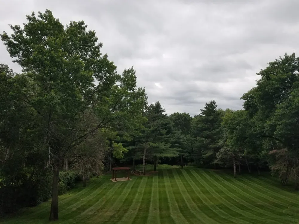 Affordable yard cleanup service in Hastings, MN by Precision Landscaping & Construction