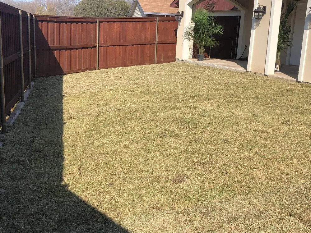 Top-rated yard cleanup service in Dallas, TX by Precision Landscaping & Fence
