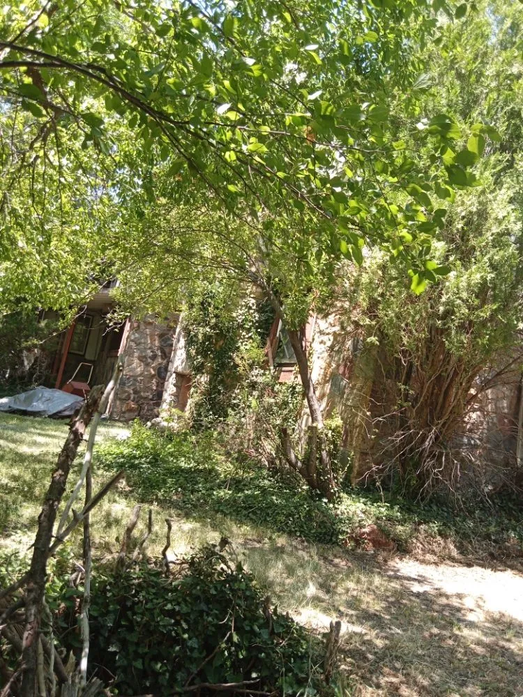 Local yard cleanup service experts serving Salt Lake City, UT - Precision Landscaping & Handyman