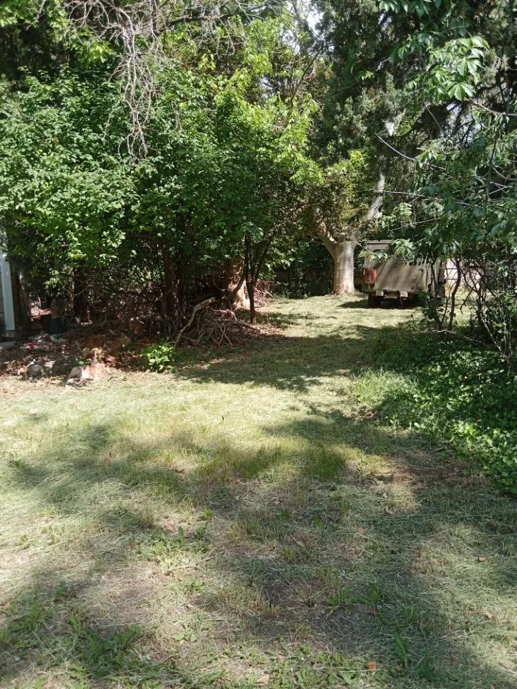 Expert lawn care service near you across Salt Lake City, UT - Precision Landscaping & Handyman