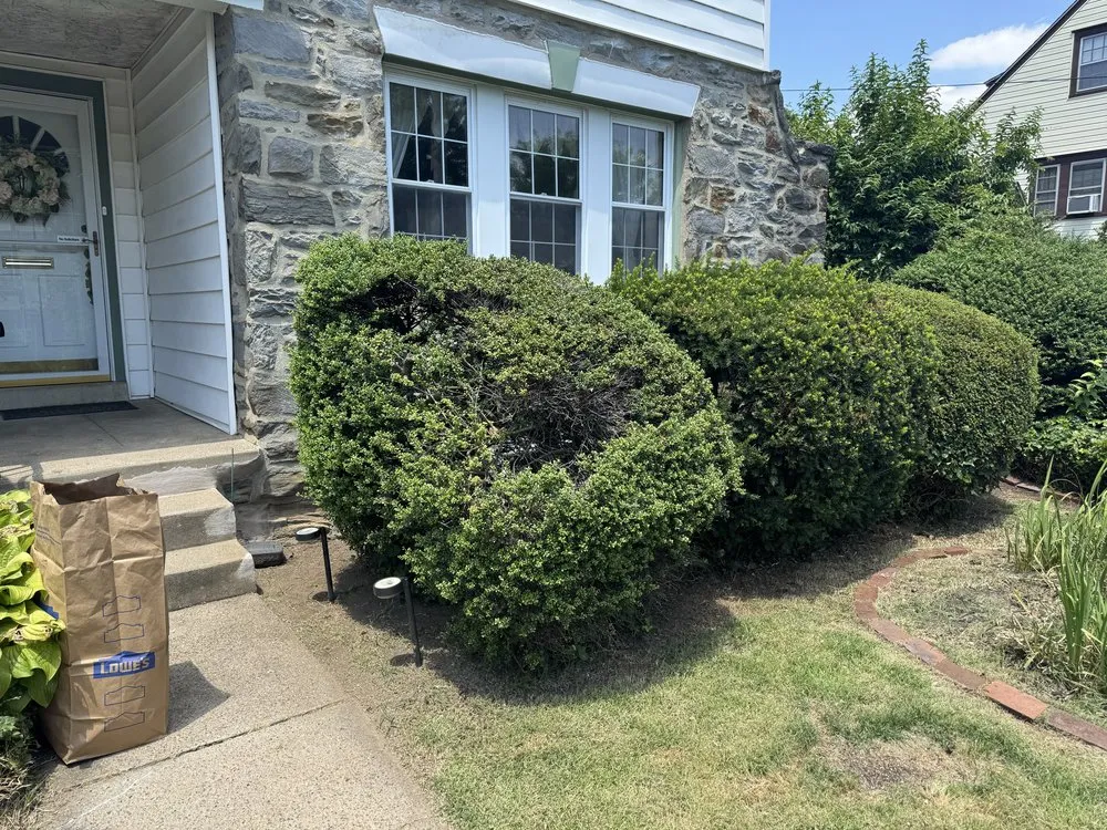 Professional yard maintenance for outdoor upgrades across Lansdowne, PA - Precision Landscaping & Lawncare