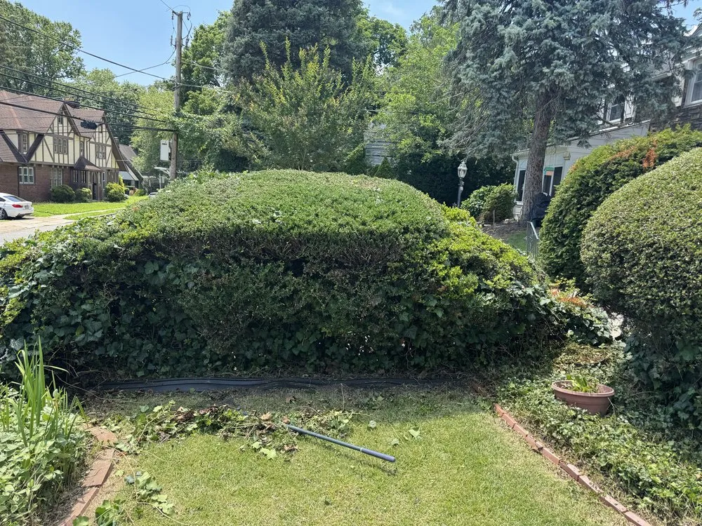 Professional lawn mowing service with custom design across Lansdowne, PA - Precision Landscaping & Lawncare