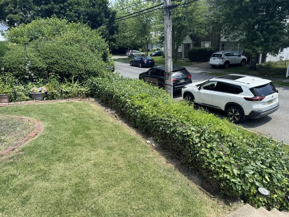 Local yard maintenance for residential properties in Lansdowne, PA by Precision Landscaping & Lawncare