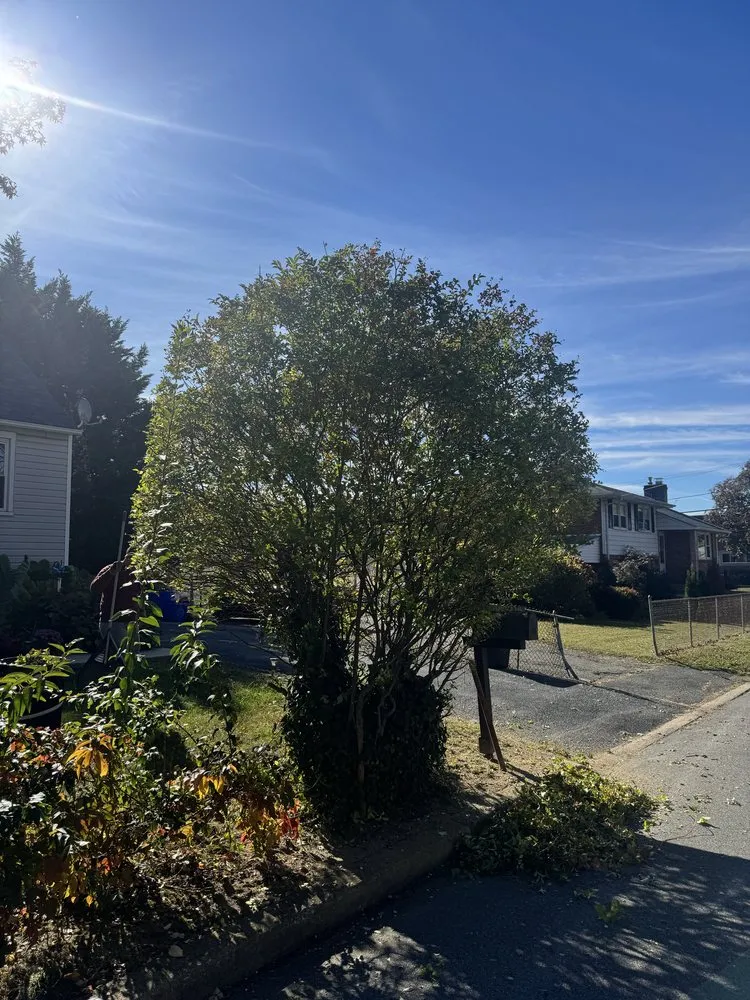 Professional landscape design with custom design in Lansdowne, PA by Precision Landscaping & Lawncare