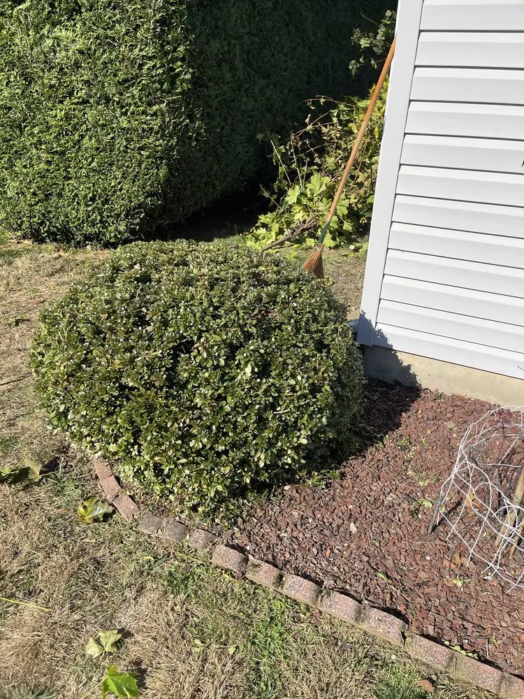 Trusted landscape design in Lansdowne, PA by Precision Landscaping & Lawncare