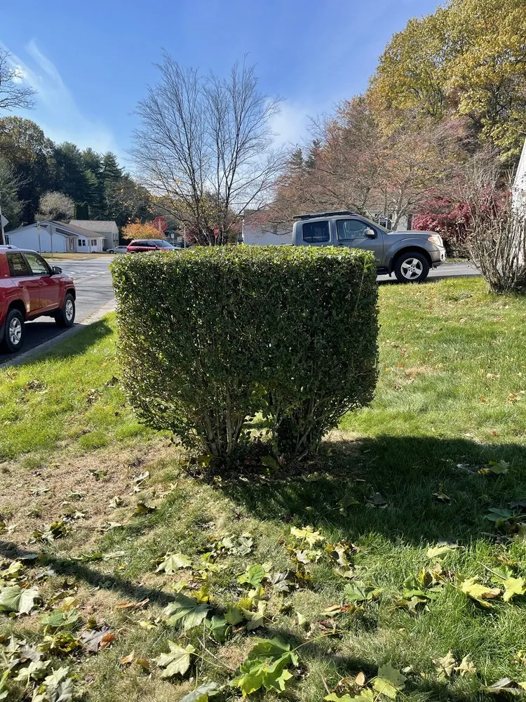 Affordable landscape installation in Lansdowne, PA by Precision Landscaping & Lawncare