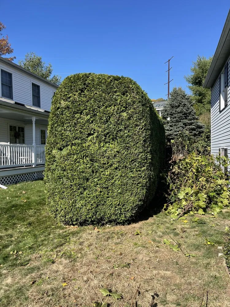 Expert landscape installation near you in Lansdowne, PA by Precision Landscaping & Lawncare