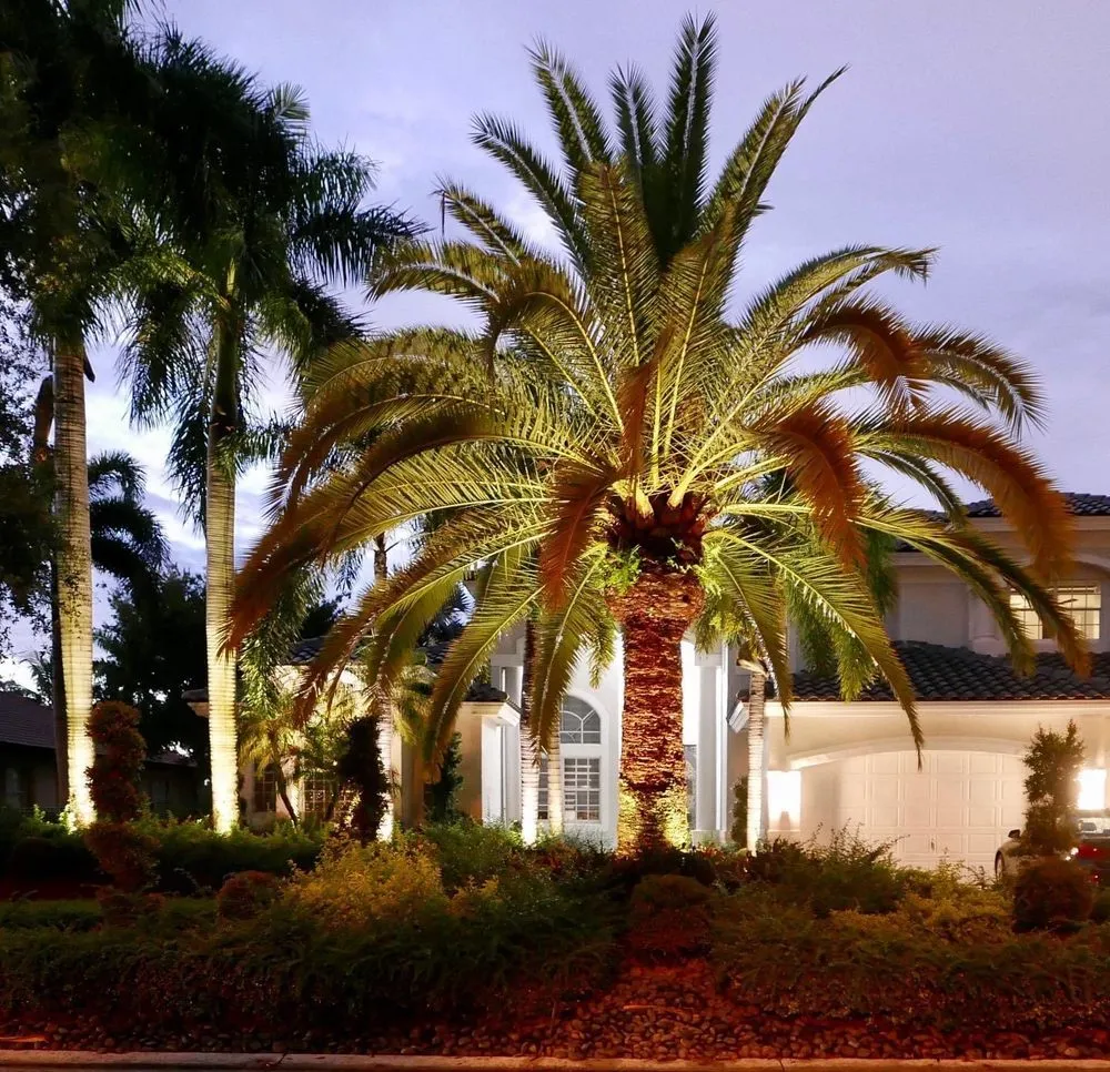 Expert yard cleanup service for homes across Alva, FL - Precision Landscaping and Design