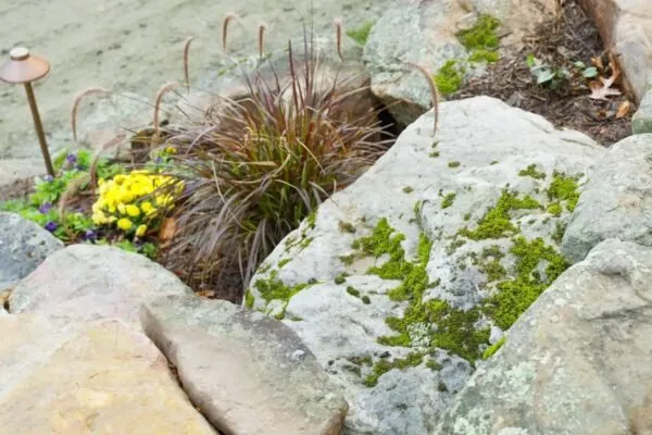 Affordable garden landscaping in Granite Falls, NC - Precision Landscaping And Design