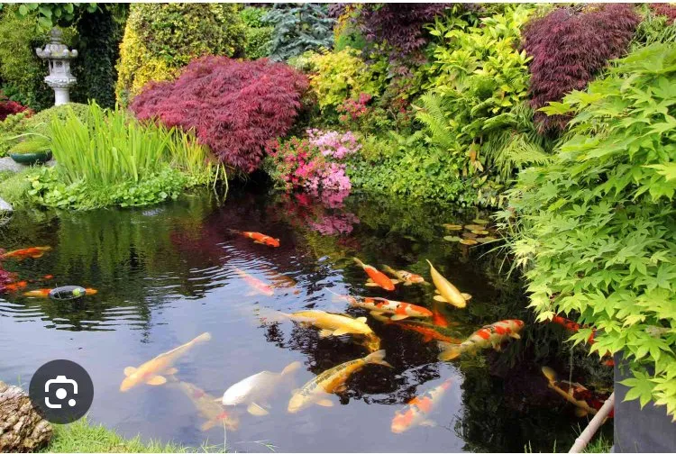 Local landscape design experts serving Granite Falls, NC - Precision Landscaping And Design