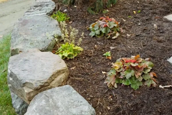 Local lawn care service experts serving Granite Falls, NC - Precision Landscaping And Design