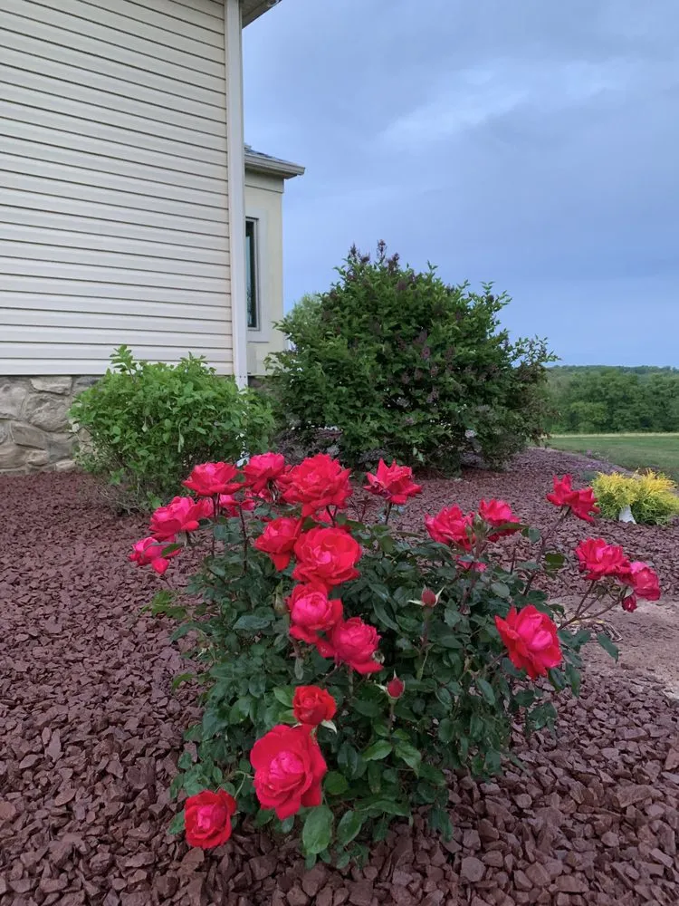 Affordable landscape design in Mechanicsburg, PA - Precision Landscaping and Tree Service