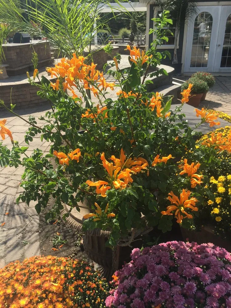 Local yard maintenance experts serving Rockaway, NJ - Precision Landscaping and Tree Service