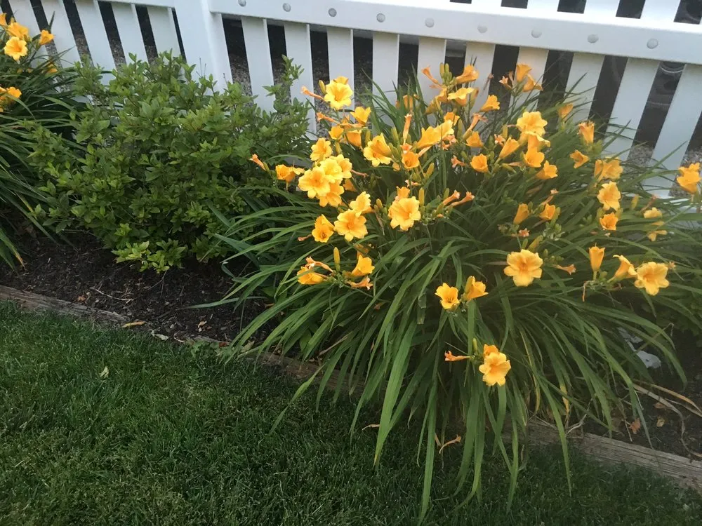 Local lawn mowing service for homes in Rockaway, NJ by Precision Landscaping and Tree Service