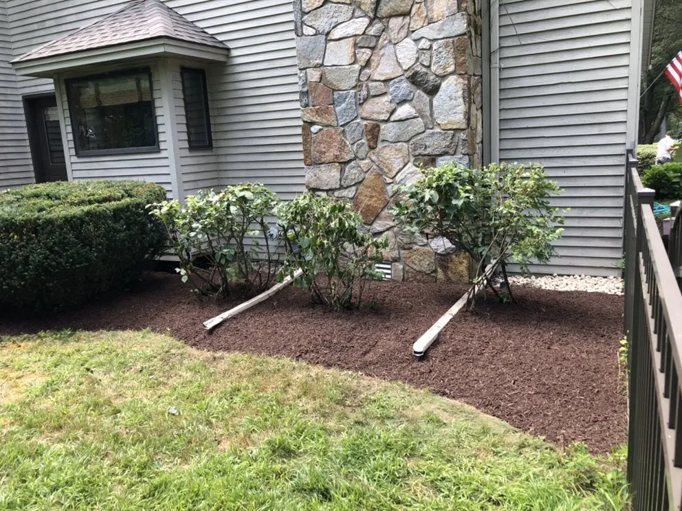 Affordable yard cleanup service for residential properties across Duanesburg, NY - Precision Landscaping