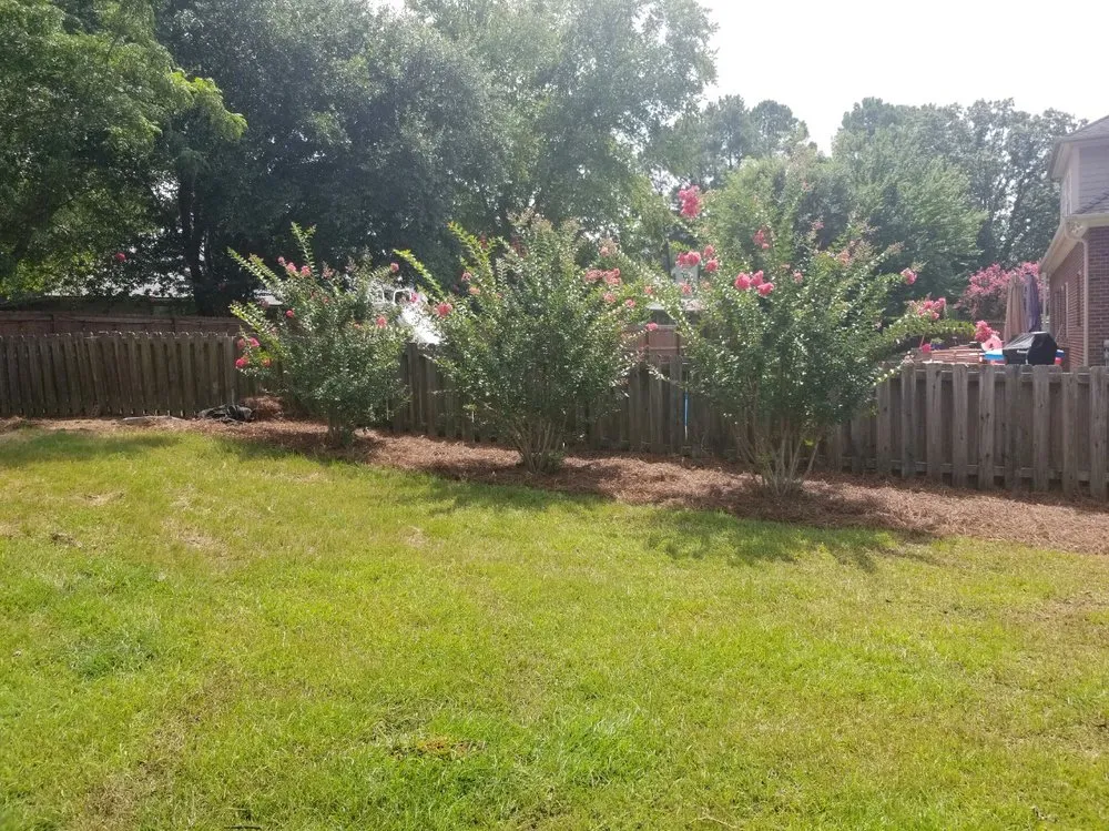 Expert landscaping services for year-round maintenance in Raeford, NC by Precision landscaping group