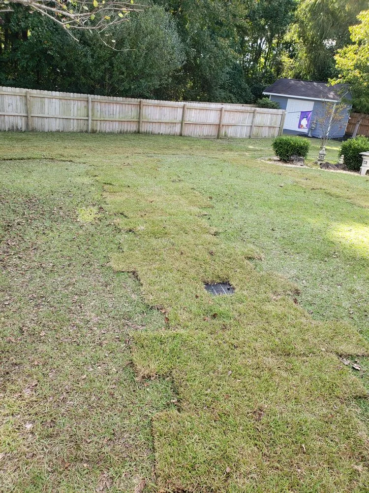 Affordable lawn mowing service experts serving Raeford, NC - Precision landscaping group