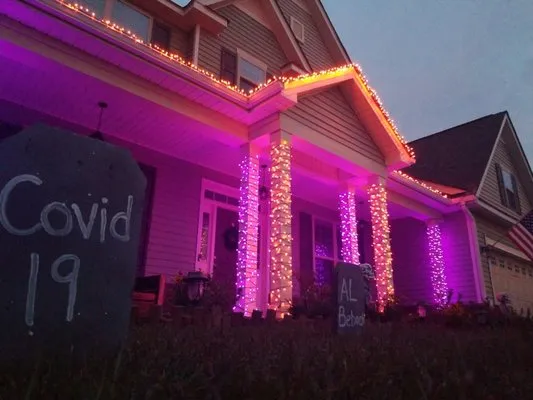 Precision landscaping group Logo