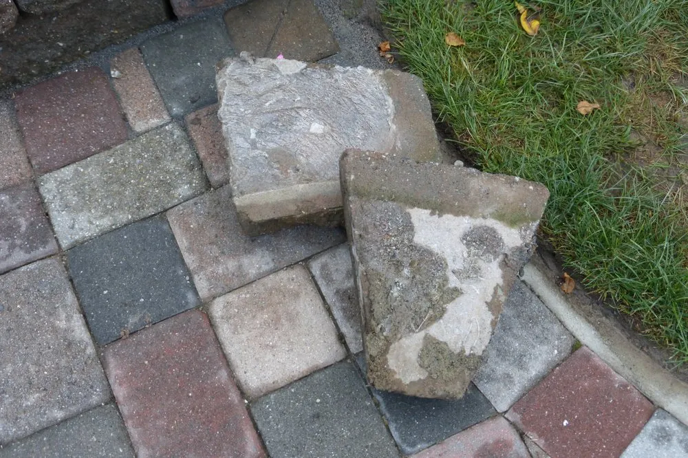 Affordable landscape installation in Wayne, NJ - Precision Landscaping INC