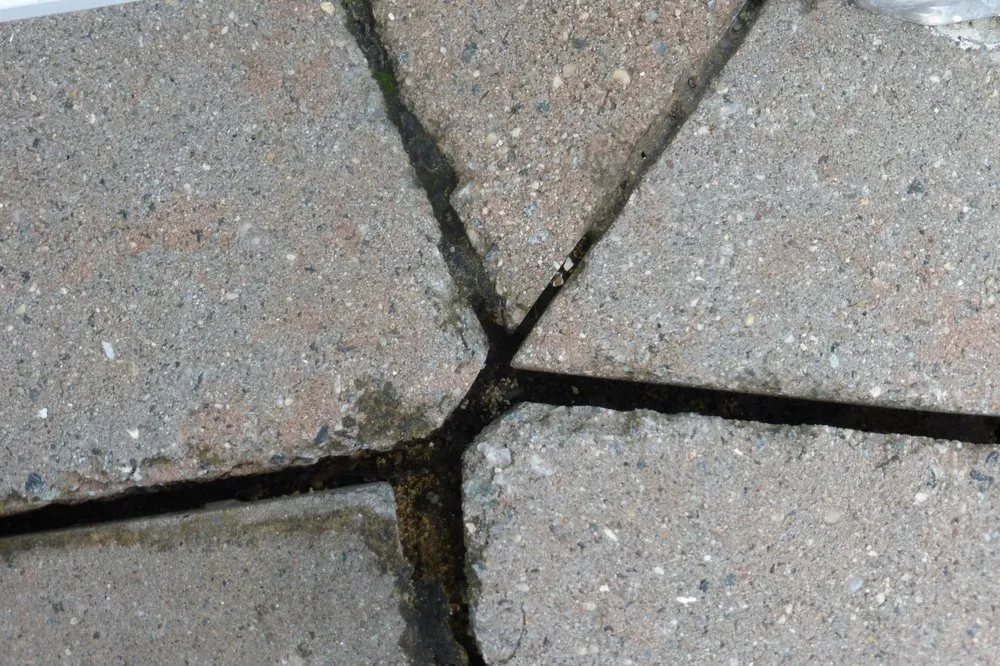 Professional landscaping services in Wayne, NJ - Precision Landscaping INC