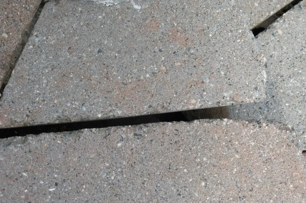 Reliable yard cleanup service experts serving Wayne, NJ - Precision Landscaping INC