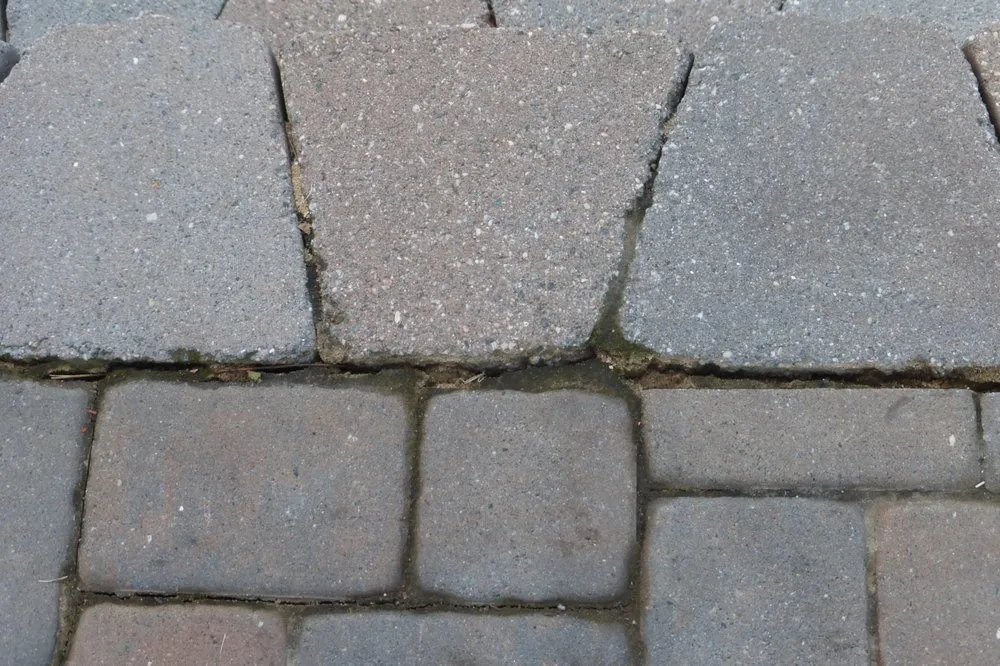 Top-rated lawn care service experts serving Wayne, NJ - Precision Landscaping INC