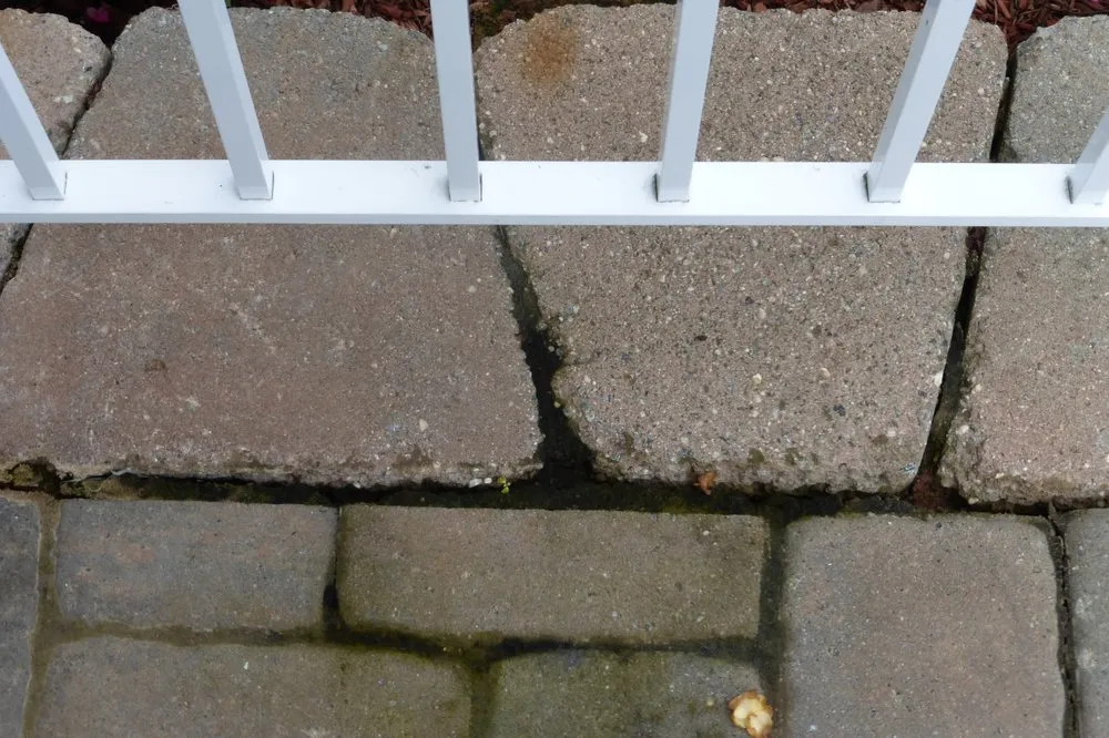 Professional yard cleanup service near you across Wayne, NJ - Precision Landscaping INC