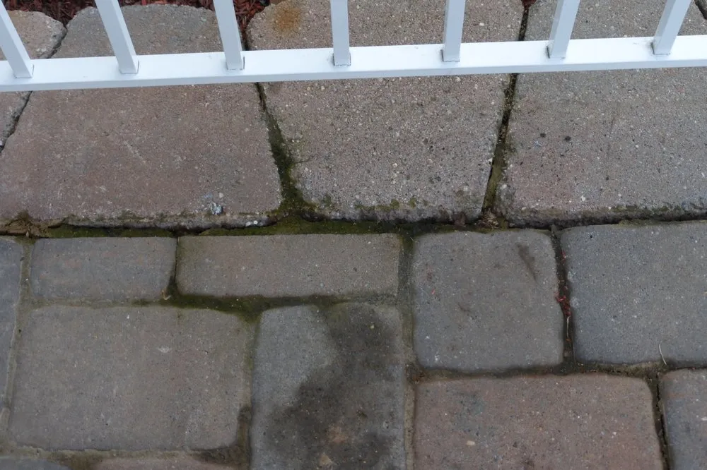 Reliable landscaping services experts serving Wayne, NJ - Precision Landscaping INC