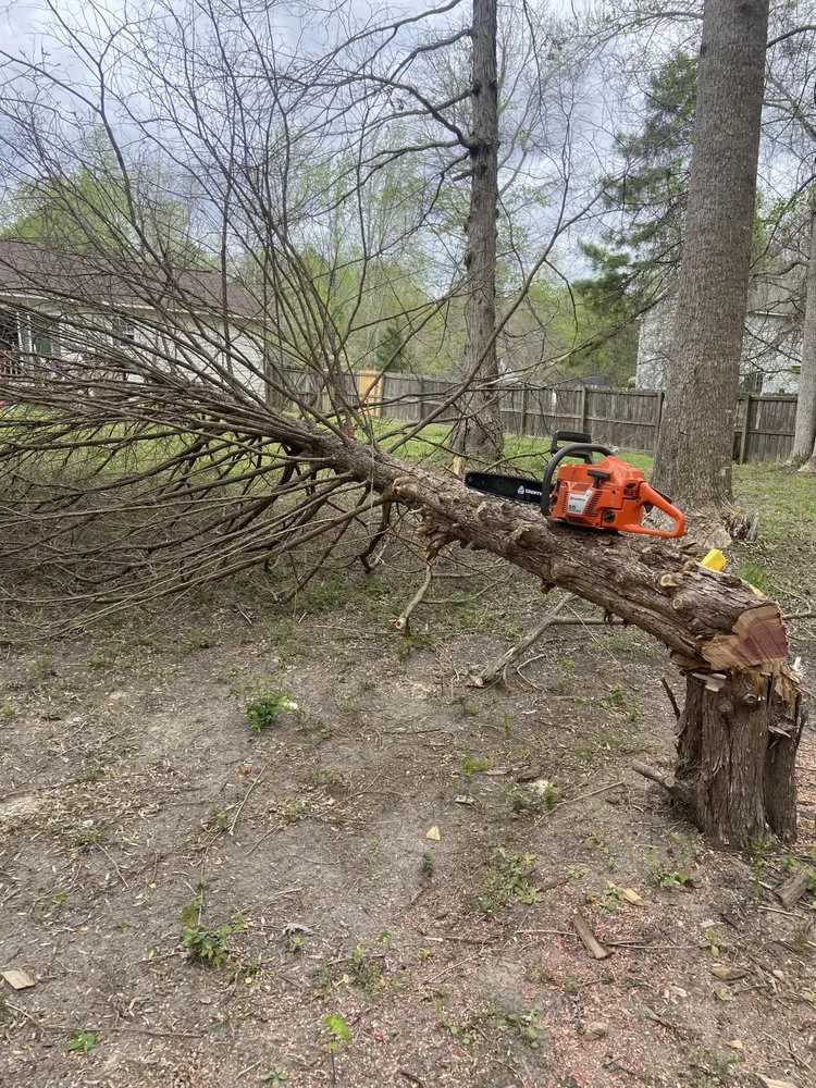 Professional landscape installation in Jacksonville, NC by Precision Landscaping