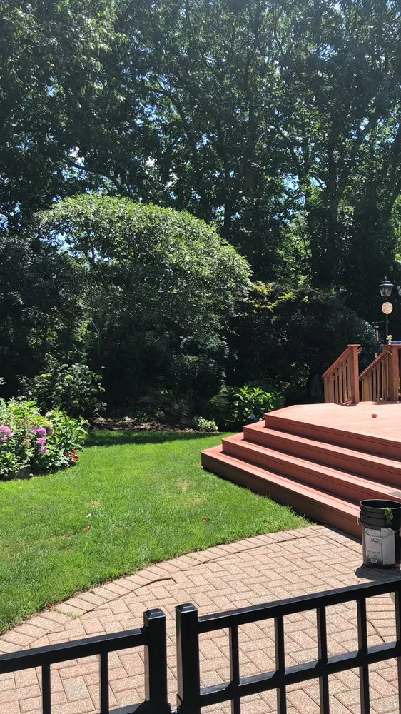 Top-rated yard cleanup service for beautiful yards across Meriden, CT - Precision Landscaping