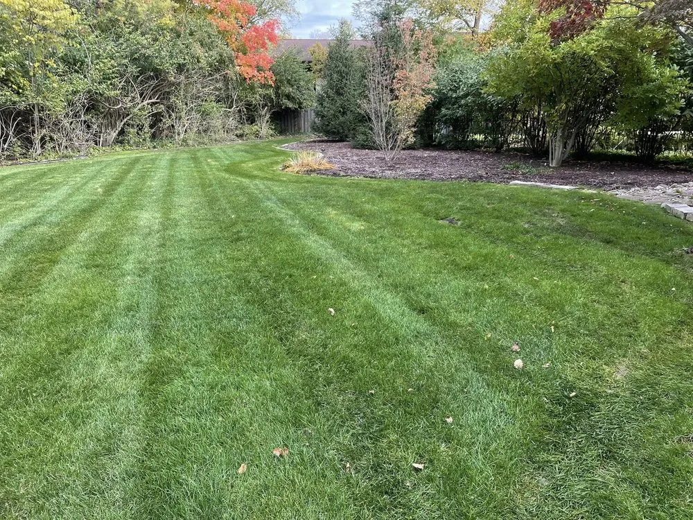Trusted yard cleanup service in Mishawaka, IN by Precision Landscaping