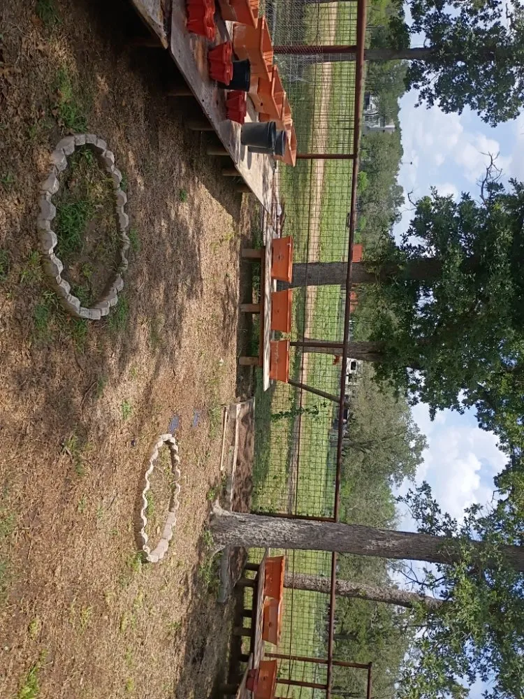 Local outdoor landscaping in New Braunfels, TX - Precision Landscaping