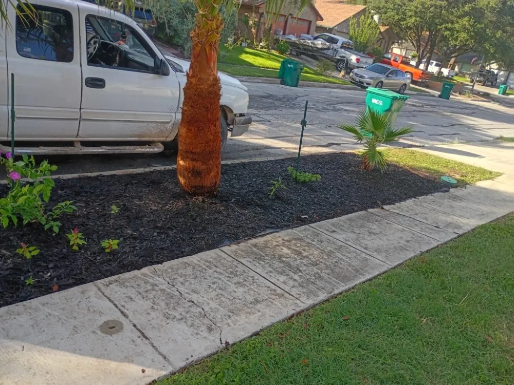 Custom landscape design with custom design in New Braunfels, TX by Precision Landscaping