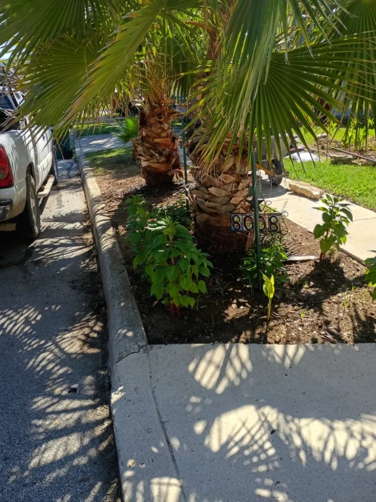 Local outdoor landscaping for residential properties in New Braunfels, TX by Precision Landscaping