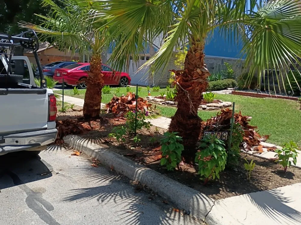 Reliable yard cleanup service in New Braunfels, TX - Precision Landscaping